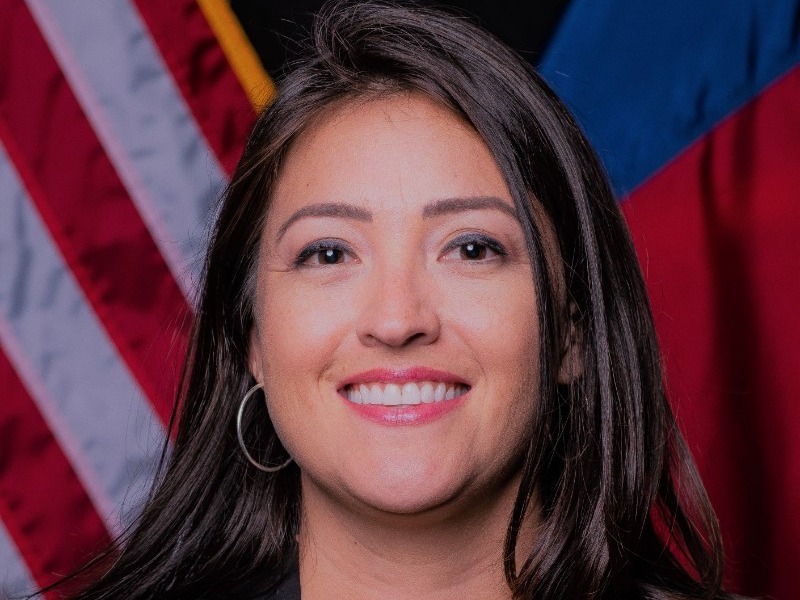 Portrait of lady with brown hair